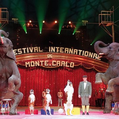 Zirkusfestival_Elefanten-Hunde