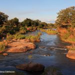 Krüger Nationalpark