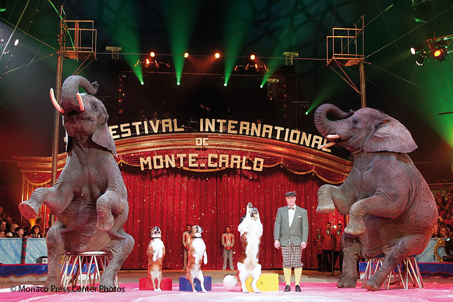 Zirkusfestival_Elefanten-Hunde